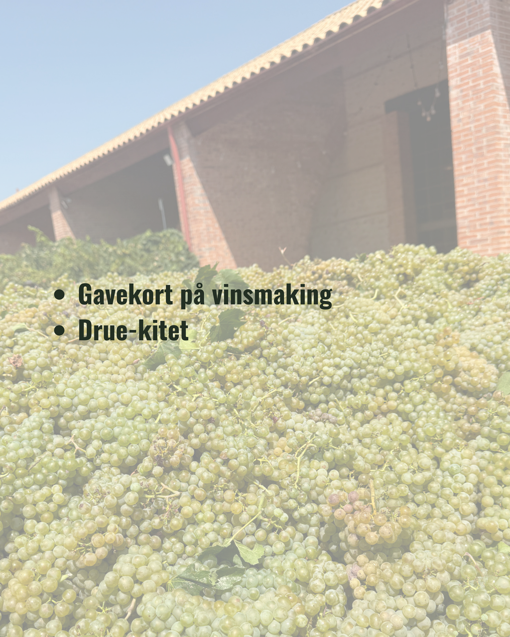 GAVEPAKKE 1 - vinsmaking & druekitet