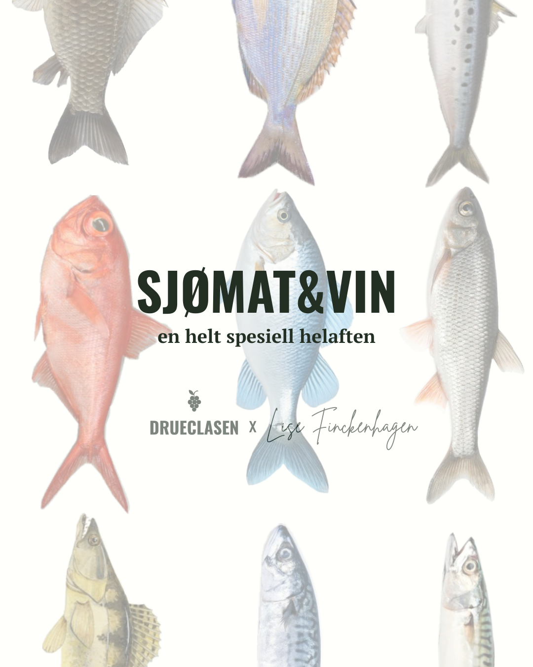 Sjømat&vin i kombinasjon. Drueclasen x Lise Finckenhagen