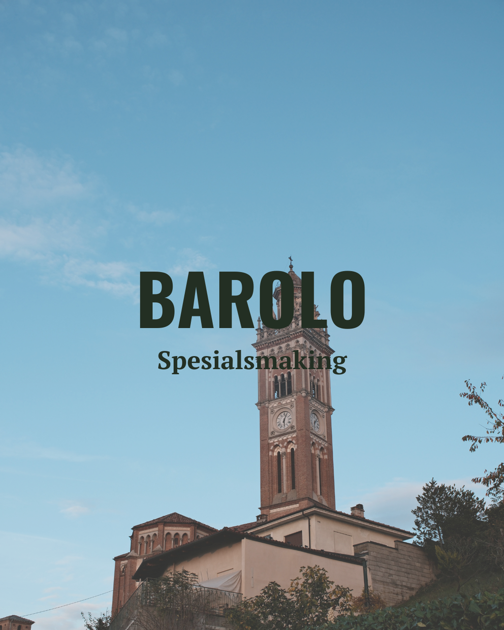 Dypdykk i Barolo og Barbaresco - Rebecca forteller det hun lærte etter en høst i vinmarken